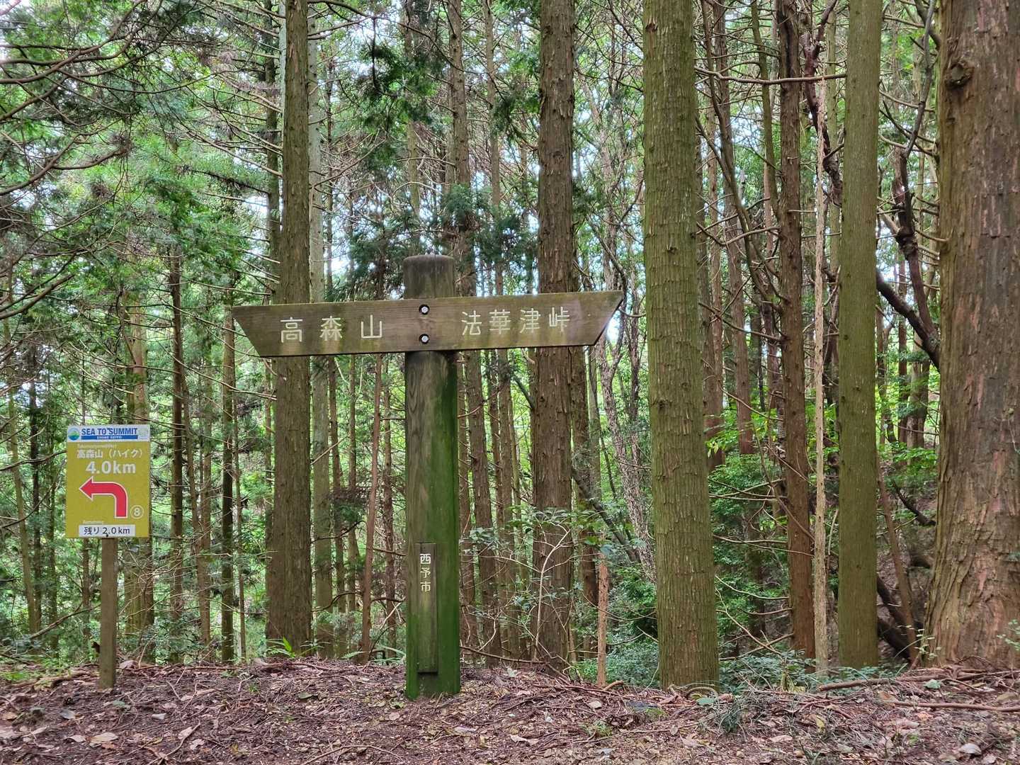 高森山 往復コースの写真