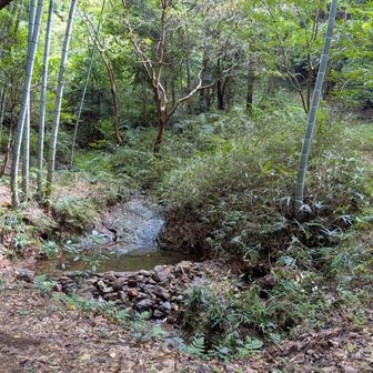 登山道がたくさんあって迷いやすいので気を付けて〜