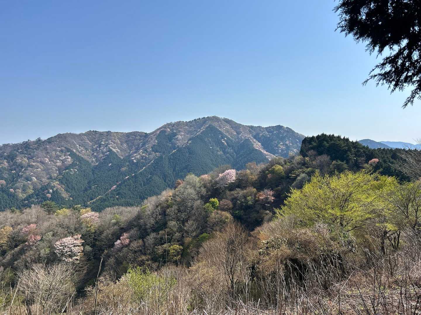 いい景色〜しばし立ち止まる笑