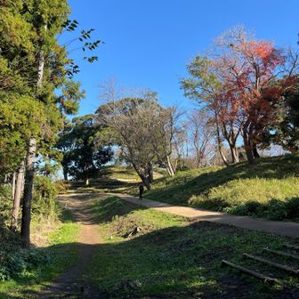 こっちの方が大きい