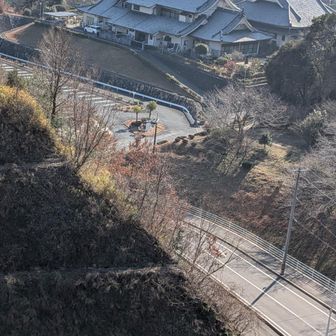 鉄階段の上部から國泰寺