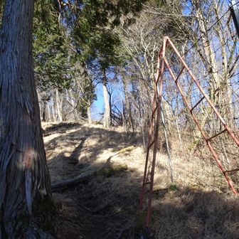 そのまま登ったら柵に突き当たった