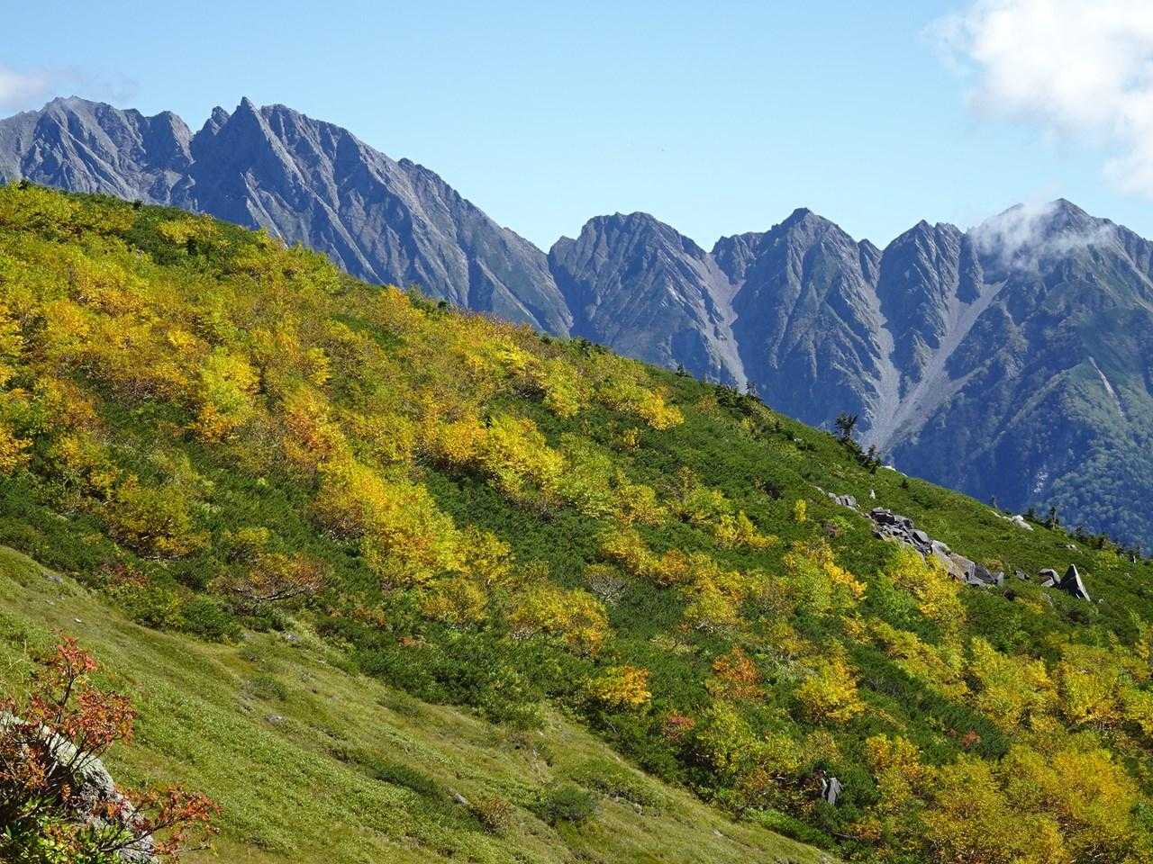 紅葉にはまだ少し早かったカモ