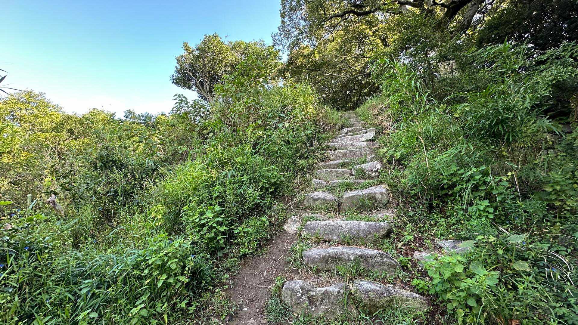 中央登山口-筒ヶ岳-観音岳 往復コースの写真
