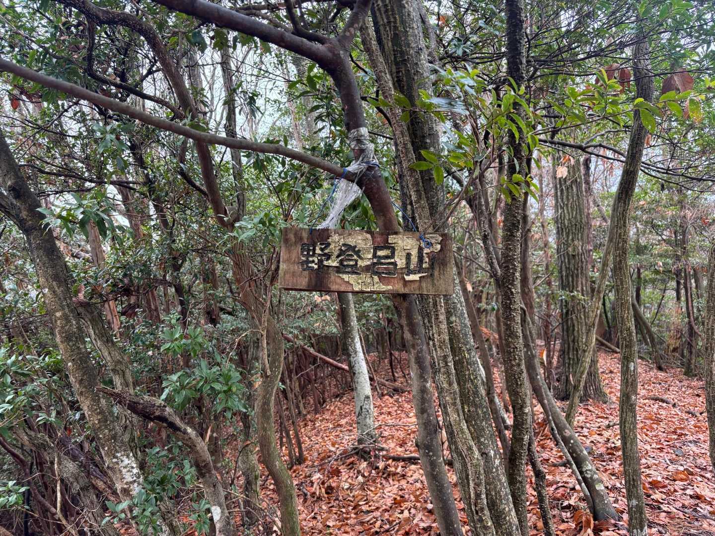 野登呂山 往復コースの写真