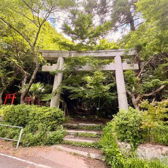 無事に下山⛰️
今日もありがとうございました🙇‍♂️
雁木のベンチで榊をリュックにさした神主さん見て、今日が月次祭だったのを思い出す😆
平日だけど登山の方、多かったです😁