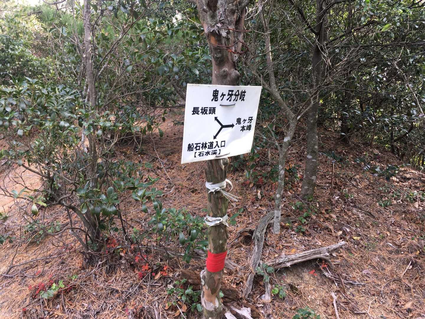 分岐　右に行きます