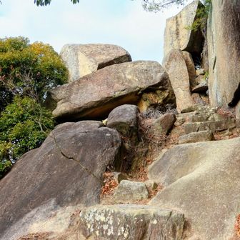 岩の間を抜けたり 乗り越えたり 結構キツイな😭