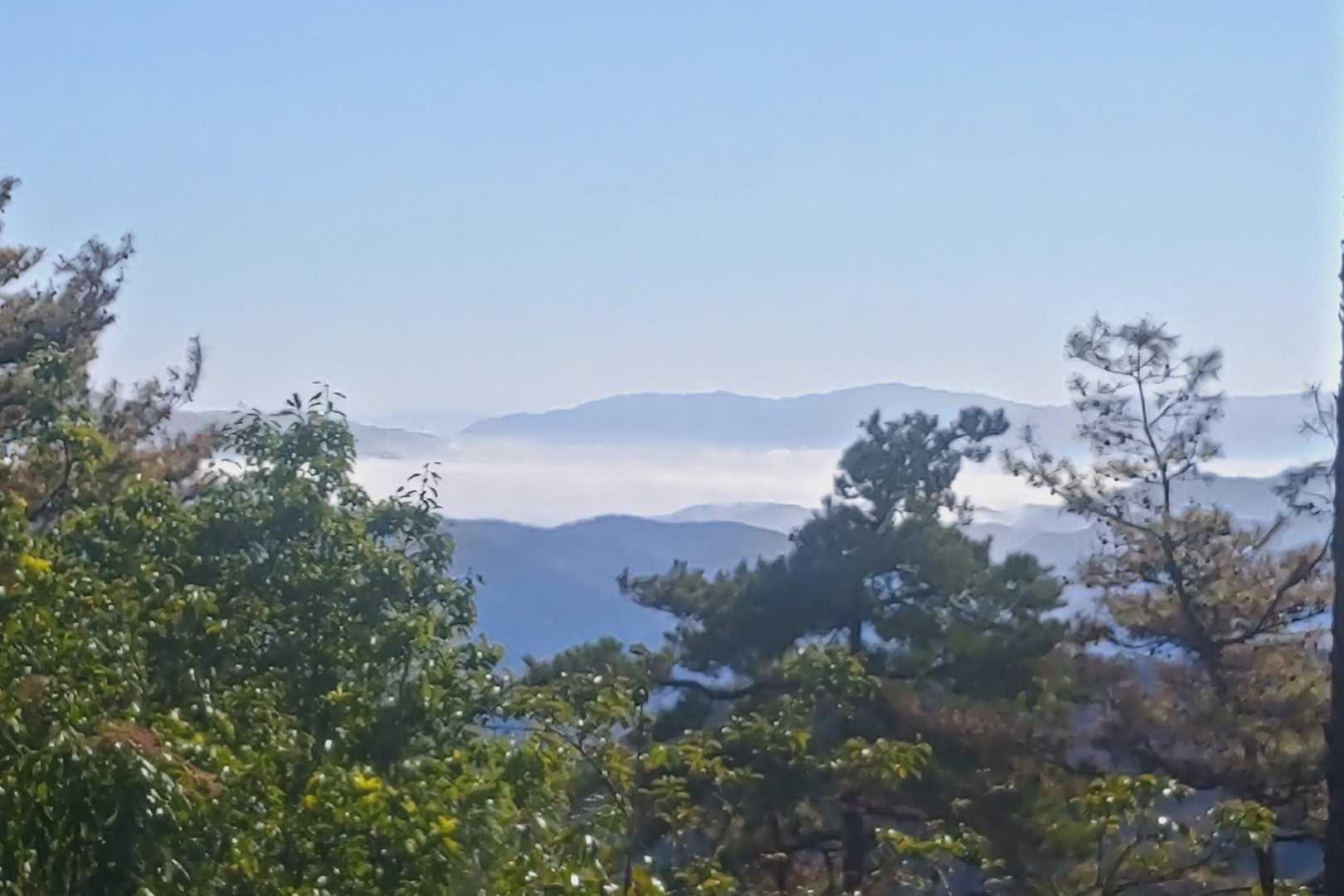 南東側で雲海見れた