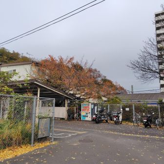 JR田浦駅から出発！
