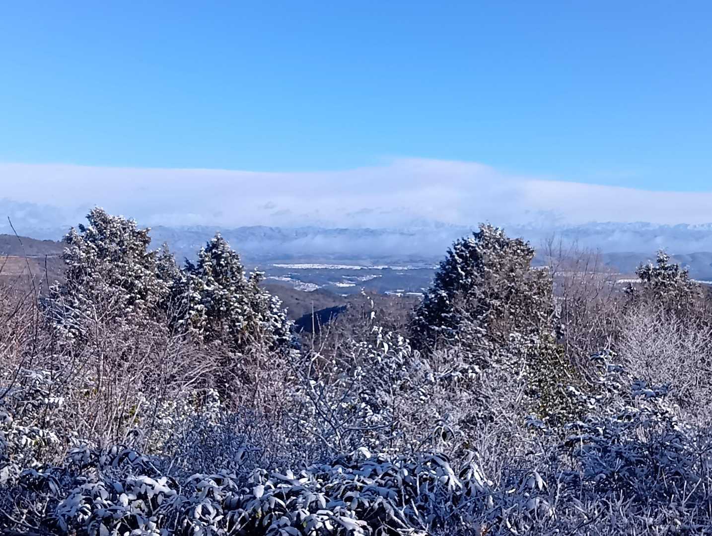 道樹山登山口-道樹山-大谷山-弥勒山 周回コースの写真