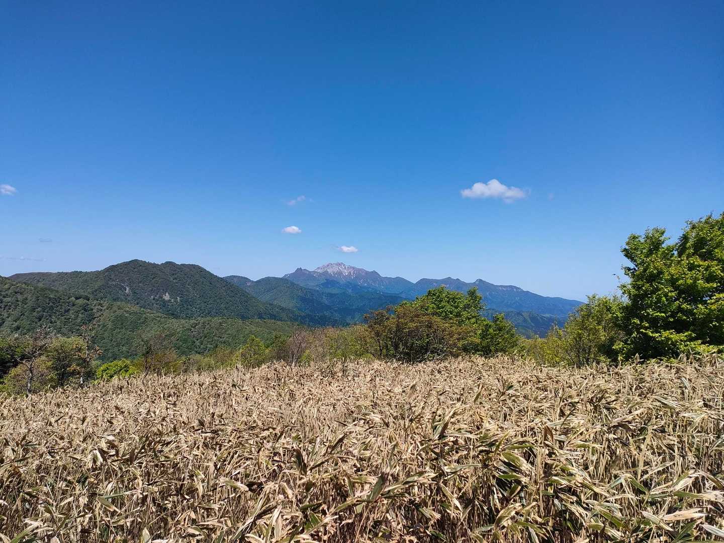 下蒜山到着〜✨
大山のオールスター達が観えた😍