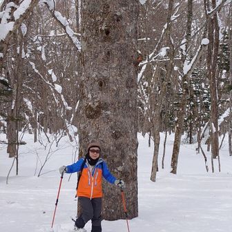 みーちくぱーちく