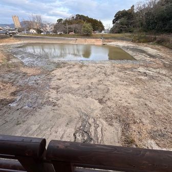 どこまで水はるのかな？
