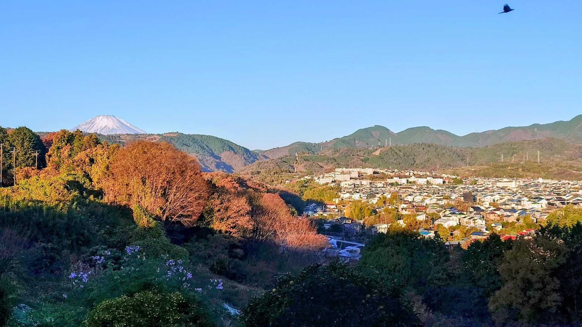 開けた場所から富士山＼(^o^)／
雲なしサイコーだなぁ！
期待膨らませ八国見山の山頂目指す♪