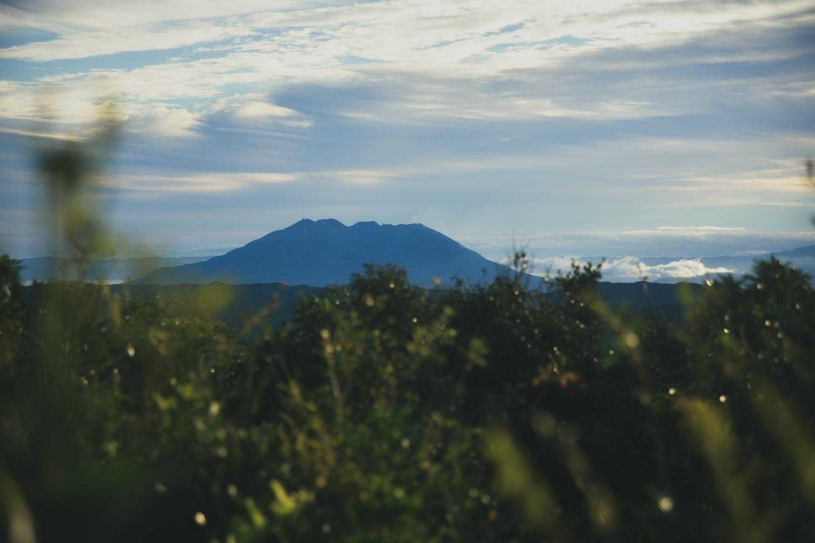 桜島。