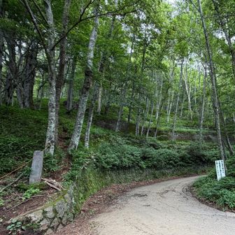 三合目
四合目までは舗装路を歩きます
九十九折りで地味に長く感じる道