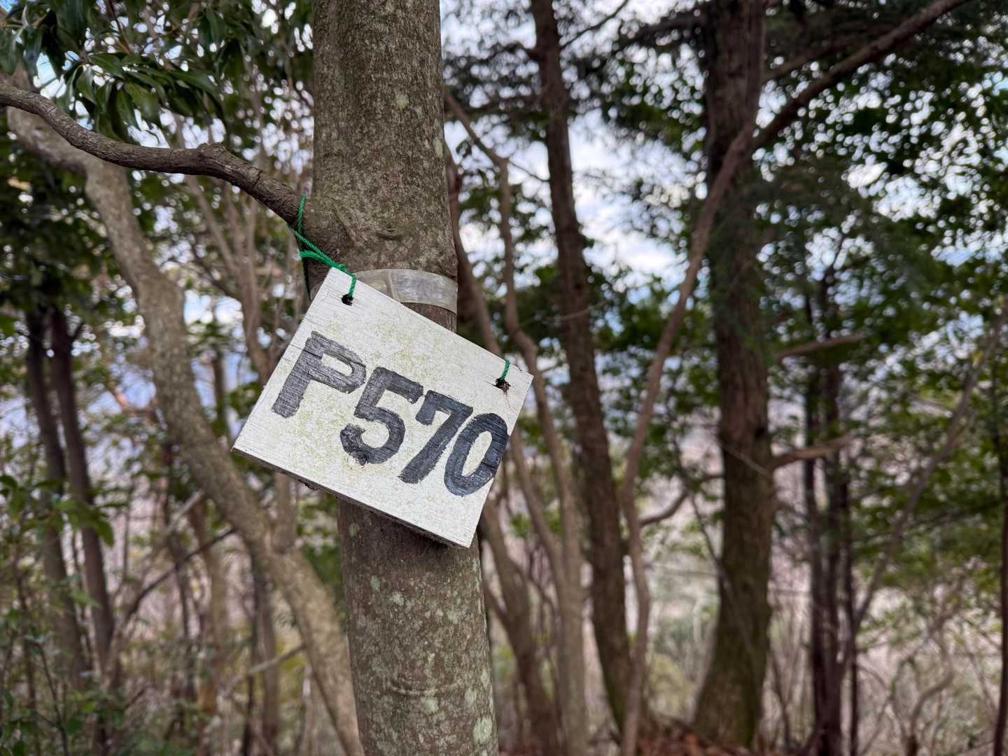 名もなきピーク🪧P570✨