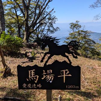 🐎今年は年女
午年に見れてなんか嬉しい