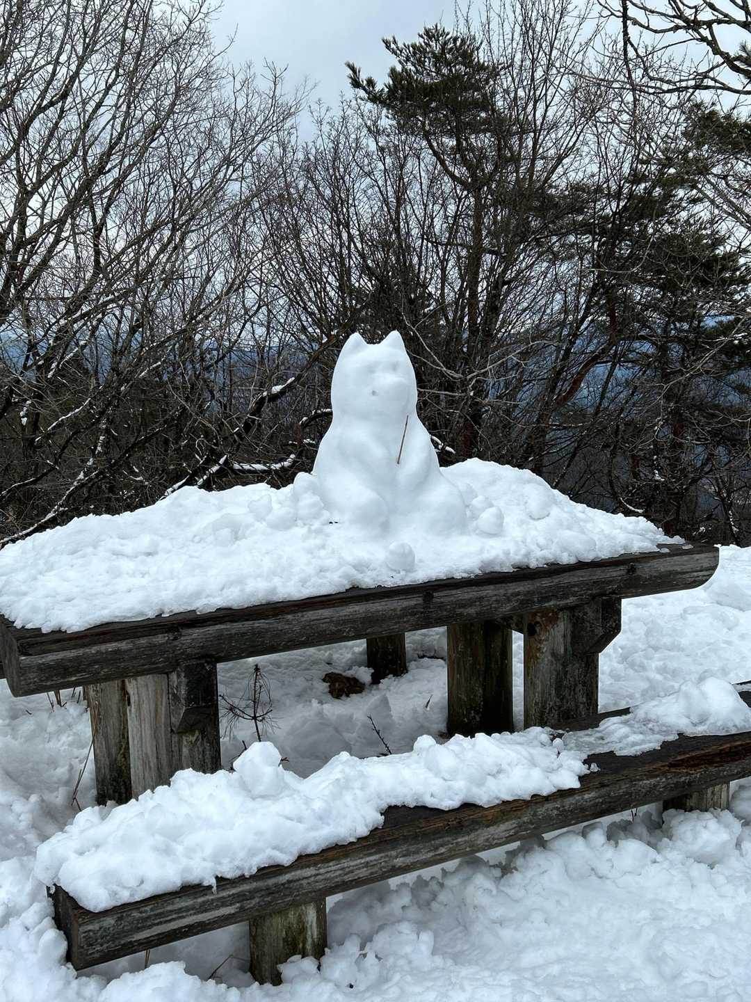 テーブルに鎮座していて可愛い🩷