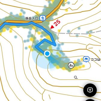 尾根に取り付きました。