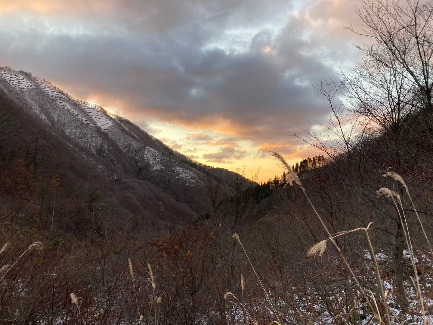 朝日が出てきた✨