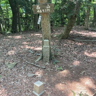 西山の山頂に到着！！
展望はなし、三角点と山頂標識がありました。