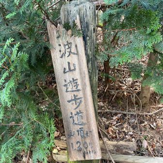 このまま下山するのは物足りないって事で、ここから登り返し

深峰歩道から御幸ケ原目指すよ〜

( •̀ᄇ• ́)ﻭ✧ﾌｧｲﾃｨﾝ!!