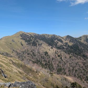 太郎と二ノ森一ノ森。いつか行きたいな