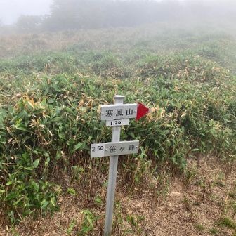 寒風山さらに笹ヶ峰へ