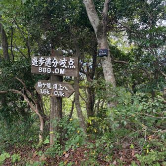 遊歩道もあります。