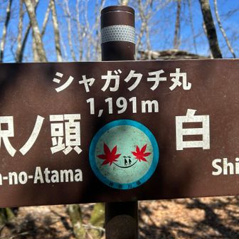 『シャガクチ丸』って山名の意味は舟なのか？🚢 🙄