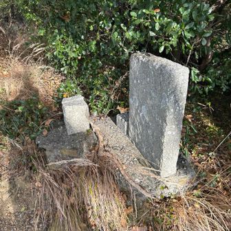 城跡にあるのは石碑のみです。
文字は読み取れなかった