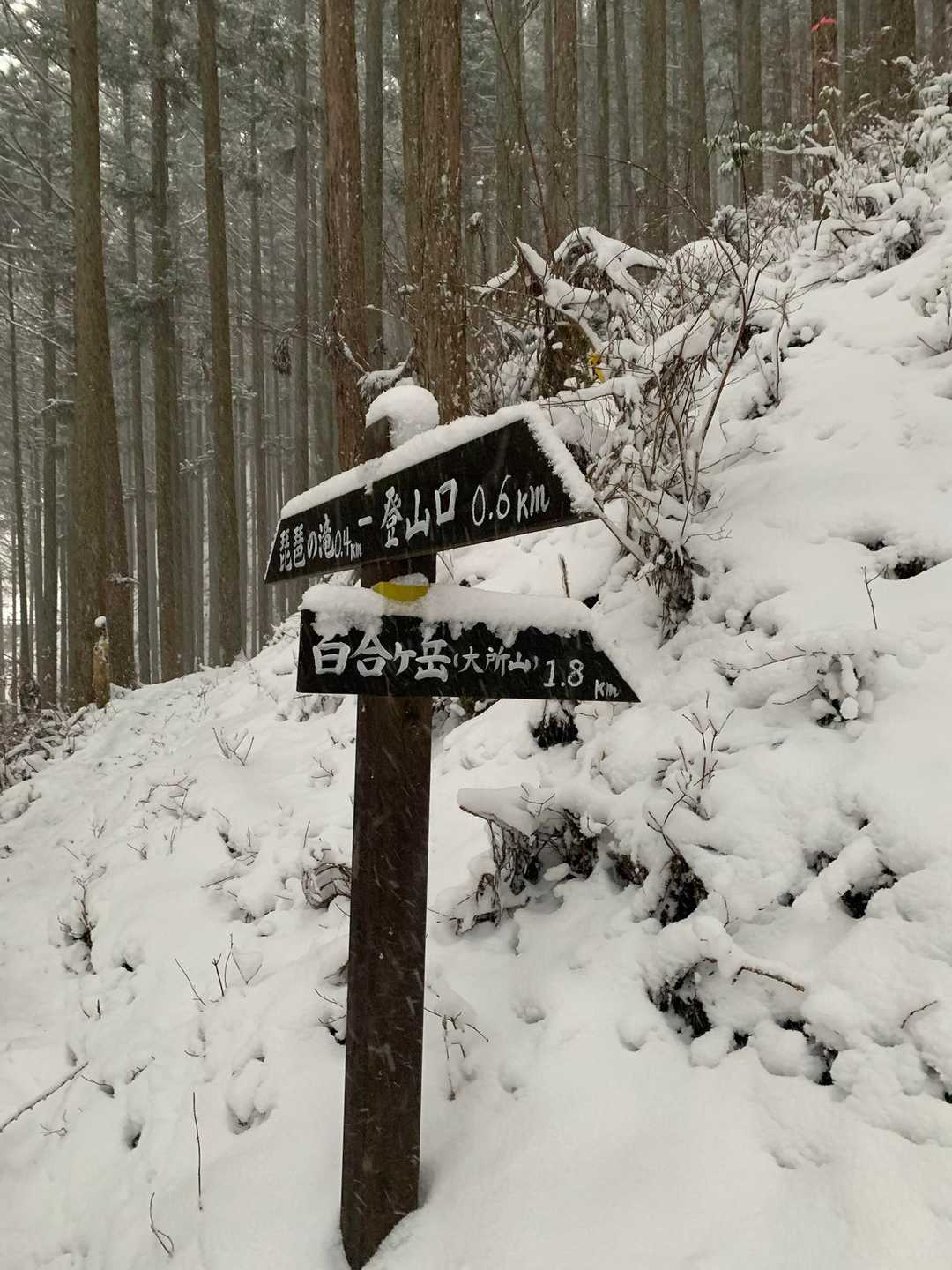 百合ケ岳との分岐表示。だいぶ雪も降っているので、今回はパス
