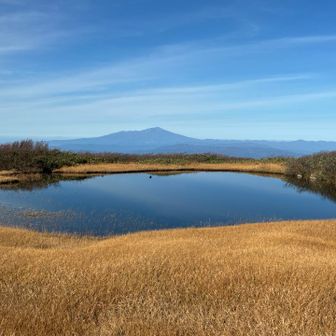 池塘越しの鳥海山も良き
