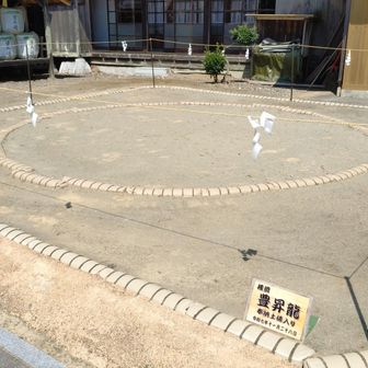 豊昇龍が土俵入り