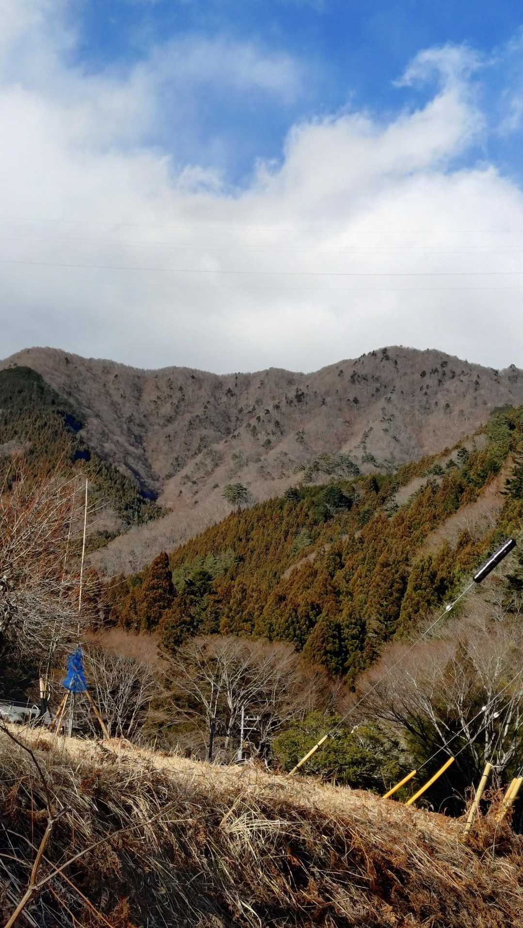 入道山-秋山峠-赤鞍ヶ岳-岩戸ノ峰-本坂峠-ブドウ岩ノ頭- 周回コースの写真
