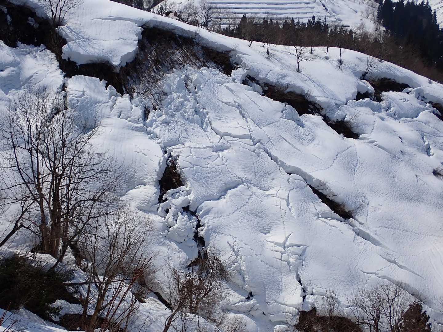 暖かいので雪は崩れ始めてますね…