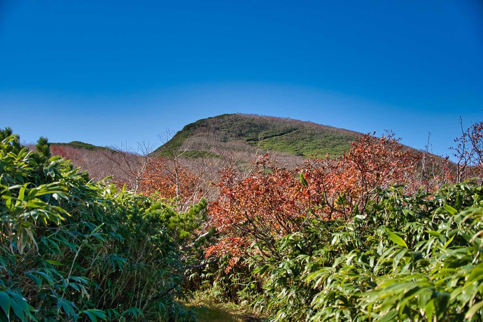 山頂が見えてきましたよ