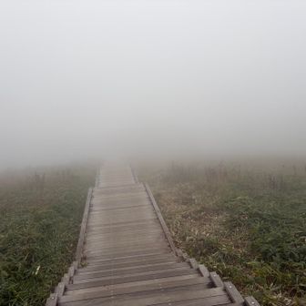 降りてくると徐々にガスって
行きと同じく真っ白でした☁️
雨がぱらついて焦った瞬間こけました➰
が、ちょっとぶつけたくらいで済みました。良かった