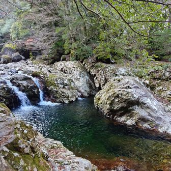 ここは右側の岩の上から滝壺にダイブできるポイント😄