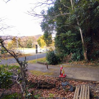 サクッとピストンで下山です。今日は静かで穏やかな弓立山でした。イイ運動になりました