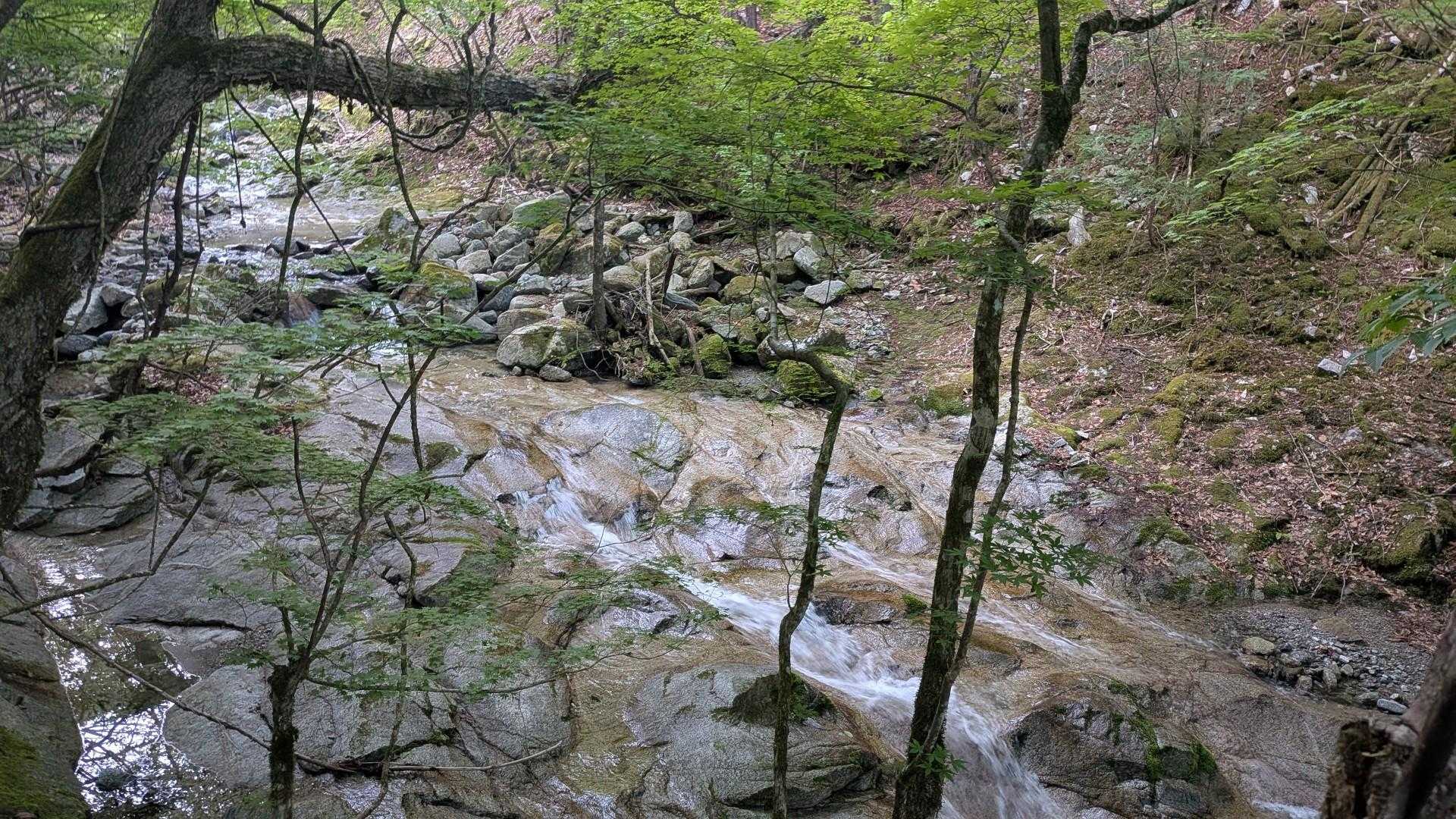 水辺のトレイルは涼しげでいいねぇ💞