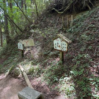 千早登山道と合流