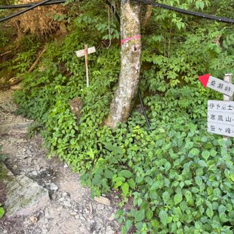 無事の下山。水分2000ml持参1500mlを消費しました。