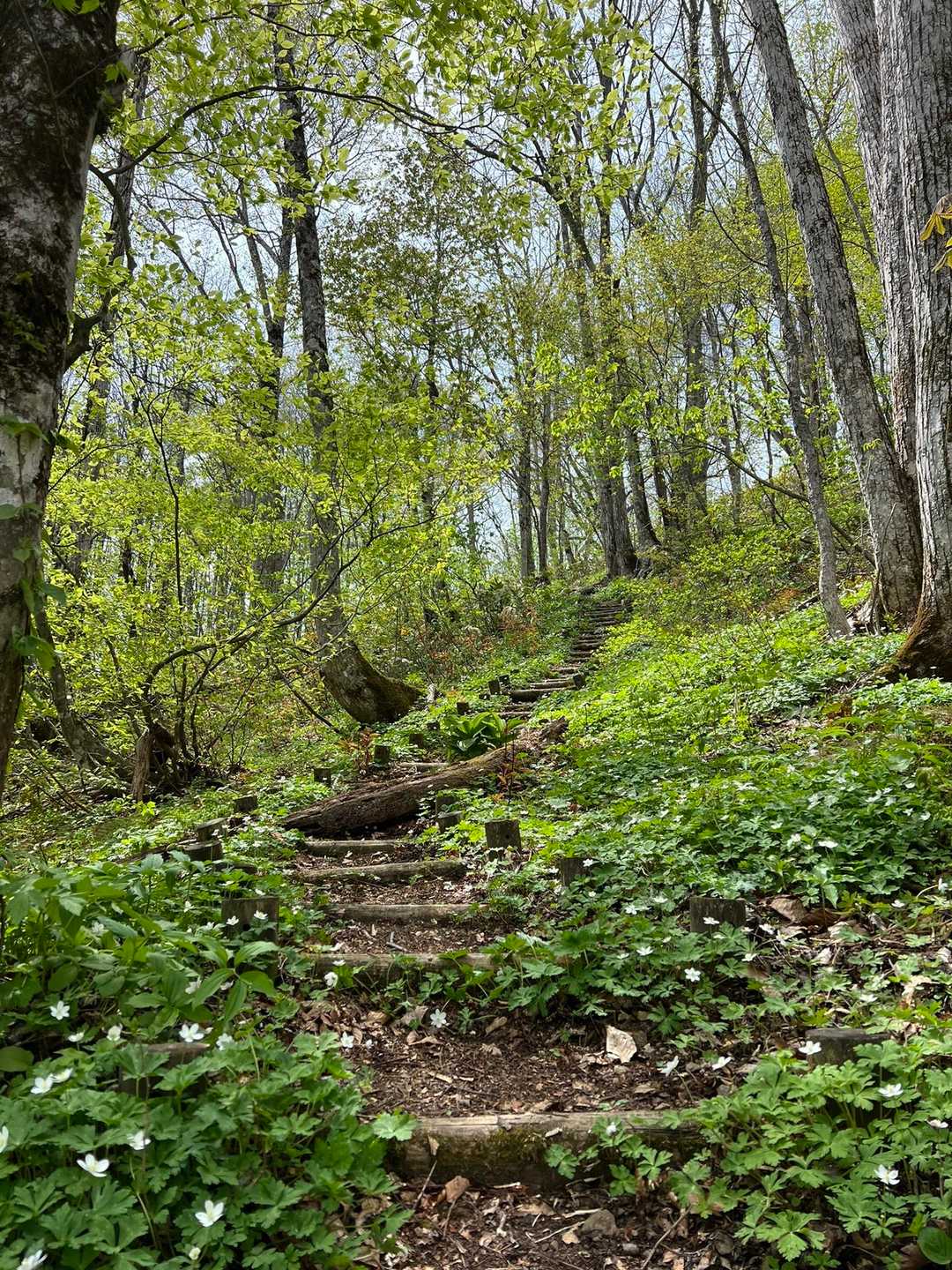 蛤山 往復コースの写真
