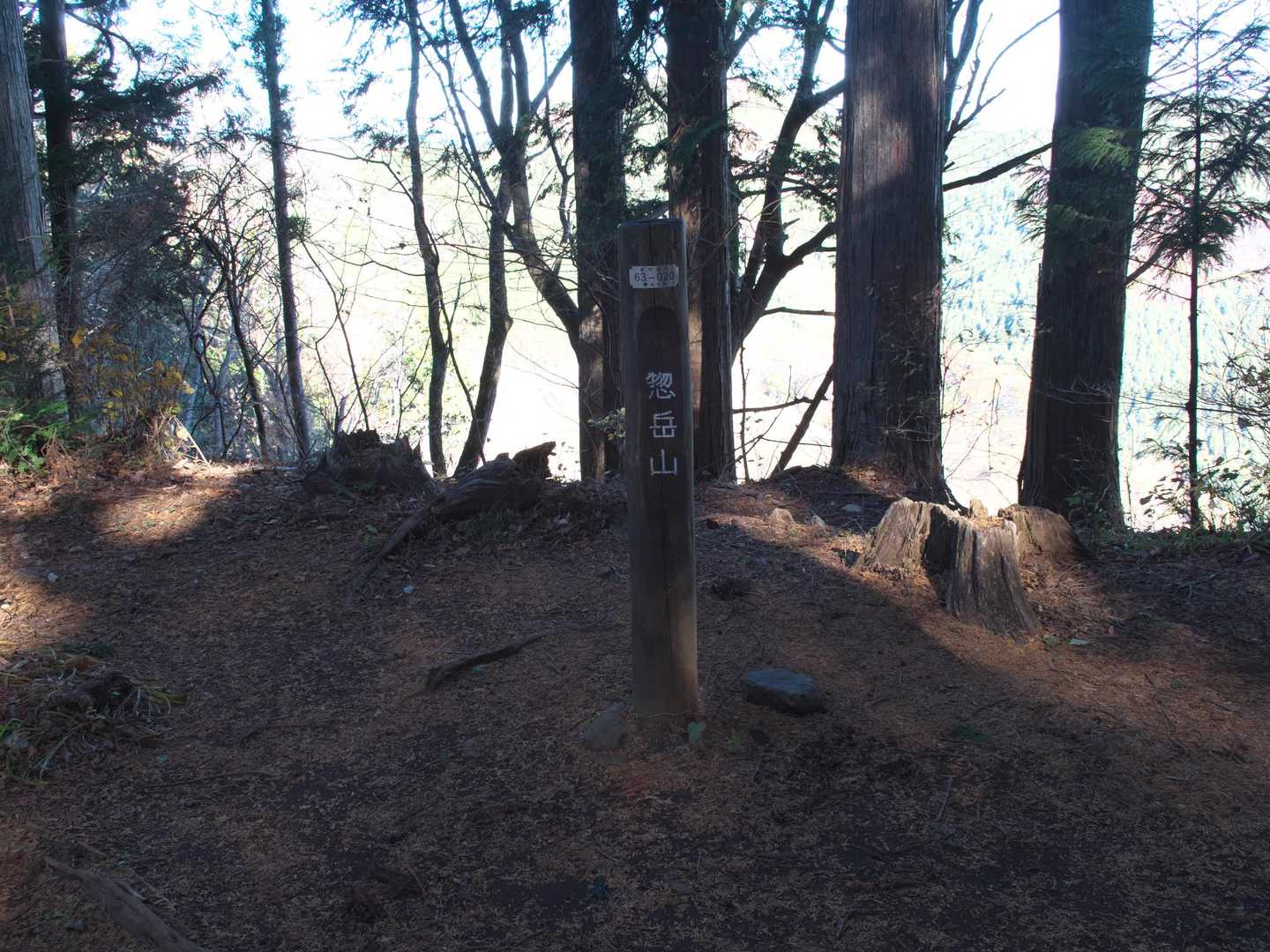 惣岳山到着。高水三山終了。後は降りて渓谷へ行くのみ