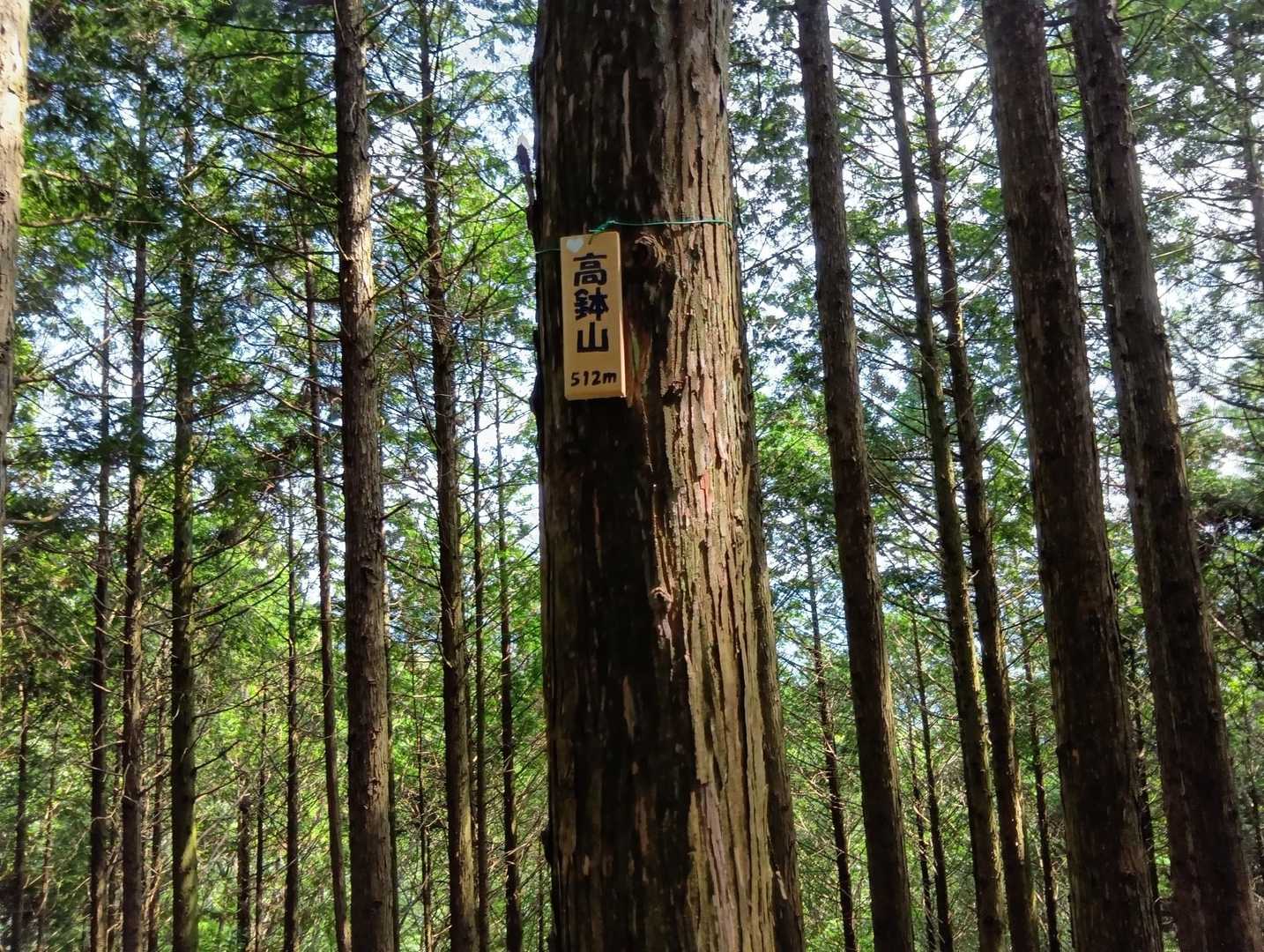 ③高鉢山