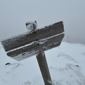 ホッケ山🙌　ガスガス😅　強風🌬️