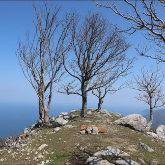 依遅ヶ尾山　頂上景観